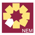 NEM Insurance Plc company logo