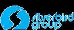 Silverbird Group company icon