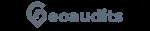 GEOAUDITS company icon