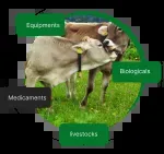 Agriprojects Concept International Ltd. company icon