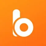 BrandDrive company icon