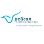 Pelican Staffing Solutions Limited company icon